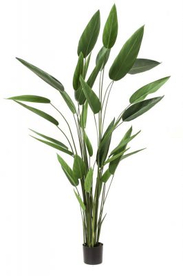 Heliconia Kunstplant L