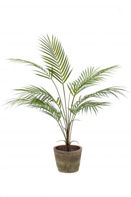 Kunstplant Palm In Een Stenen Pot