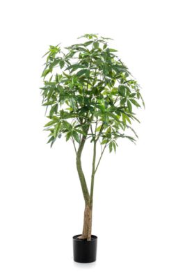 Paschira Kunstpalm Plant 180 Cm