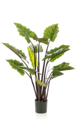 Colocasia Kunstplant