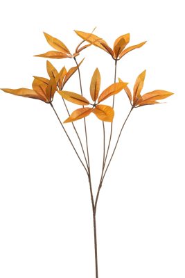 Kunsttak Pachira Oranje ( 3 Stuks ) 82 Cm